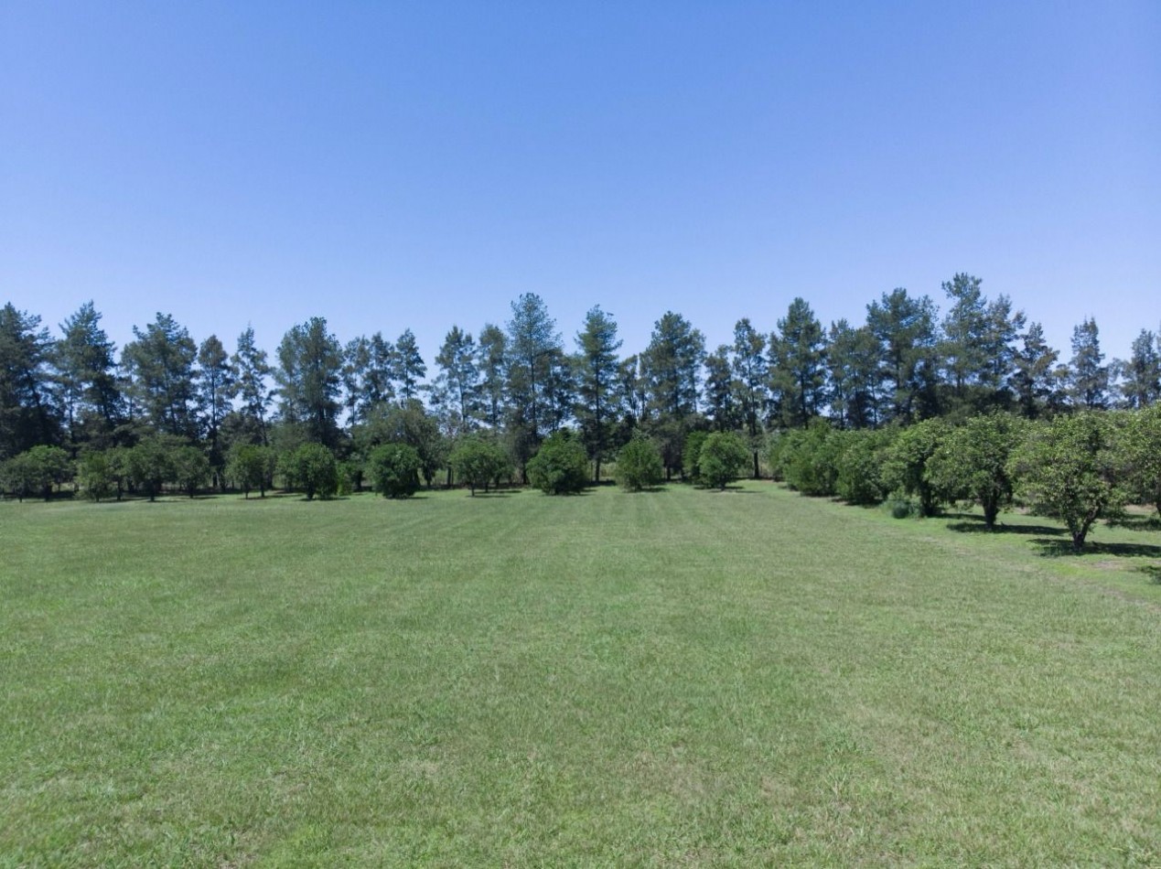 ||| LOTE DE TERRENO 5000M2 EN LAS MORITAS |||