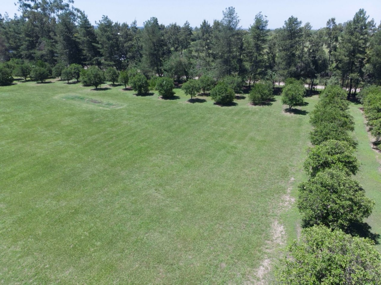 ||| LOTE DE TERRENO 5000M2 EN LAS MORITAS |||