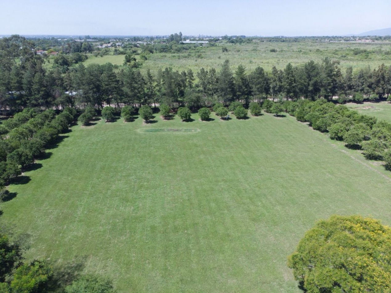 ||| LOTE DE TERRENO 5000M2 EN LAS MORITAS |||