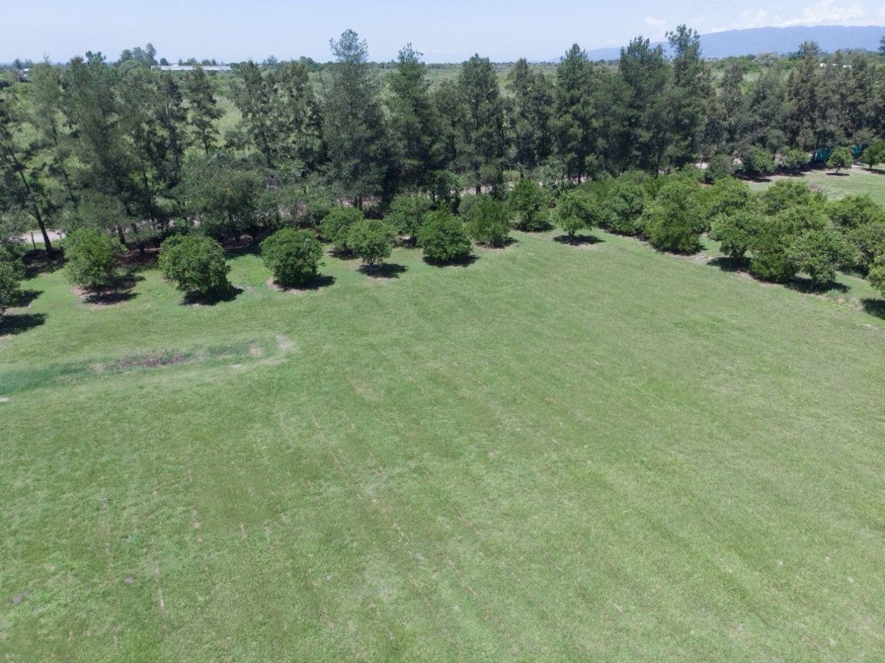 ||| LOTE DE TERRENO 5000M2 EN LAS MORITAS |||